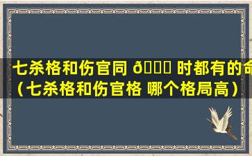 七杀格和伤官同 🐋 时都有的命（七杀格和伤官格 哪个格局高）